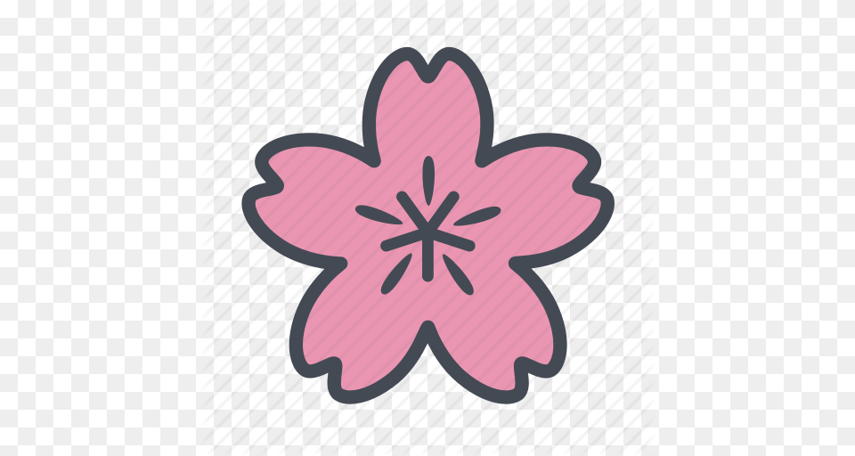 Cherry Blossom Flower Sakura Spring Icon, Plant, Cross, Symbol, Anther Free Png