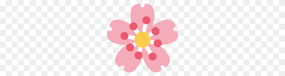 Cherry Blossom Flower Smell Icon Download, Anemone, Anther, Petal, Plant Png Image