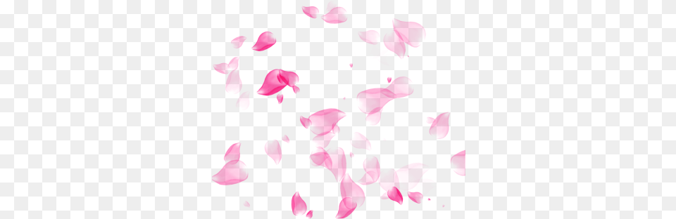 Cherry Blossom Gif Scattered Pink Rose Petals, Flower, Petal, Plant, Purple Free Transparent Png