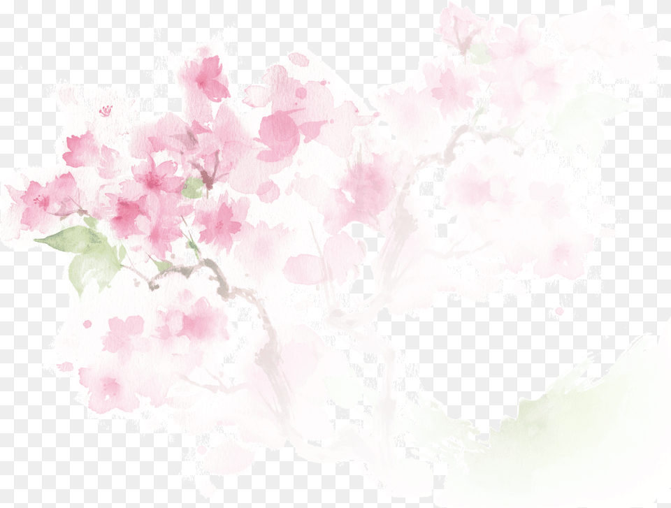 Cherry Blossom Graphic Design, Flower, Plant, Adult, Bride Free Transparent Png