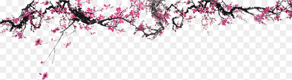 Cherry Blossom Header, Flower, Plant, Purple, Cherry Blossom Free Png Download