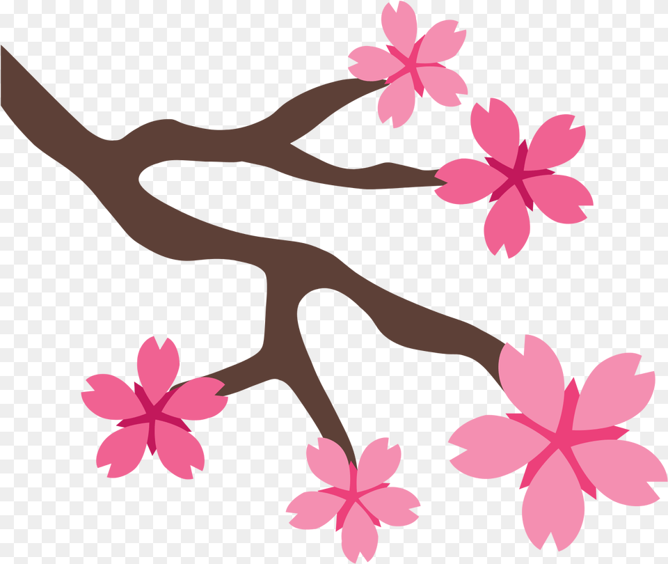 Cherry Blossom Icon, Flower, Petal, Plant, Leaf Png Image