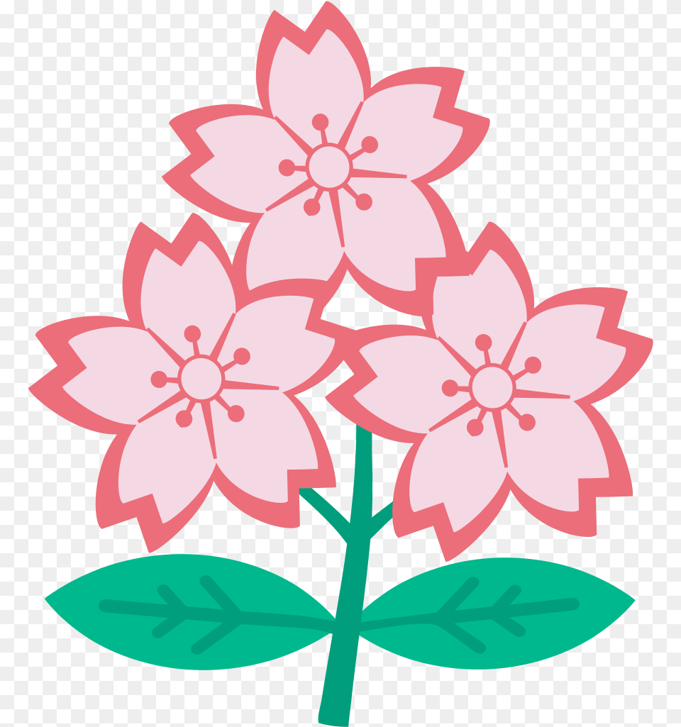 Cherry Blossom Japan Rugby, Dahlia, Flower, Plant, Pattern Free Png Download