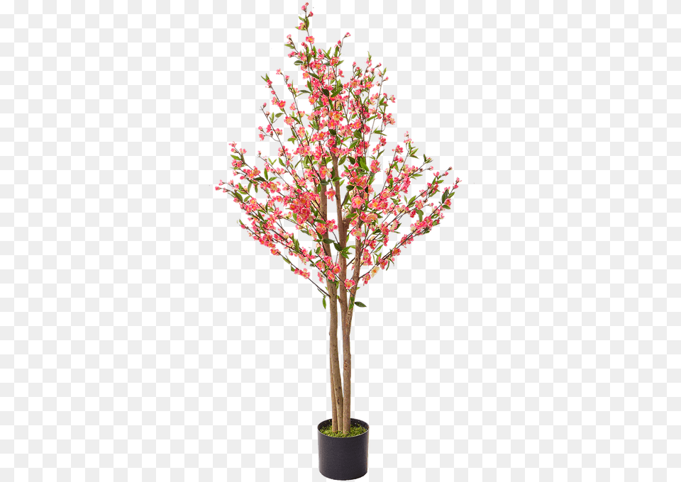 Cherry Blossom Mysite 4 Artificial Flower, Flower Arrangement, Plant, Tree, Flower Bouquet Free Png