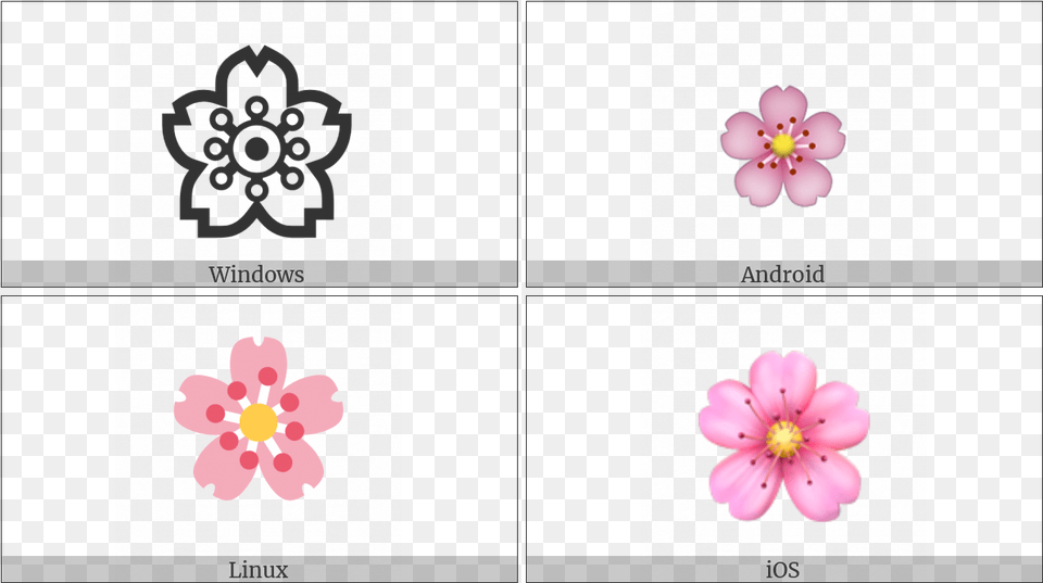 Cherry Blossom On Various Operating Systems Primula, Flower, Geranium, Plant, Anemone Free Png Download
