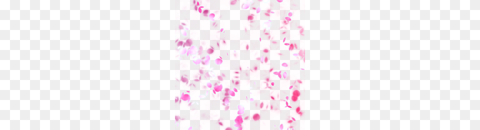 Cherry Blossom Outline Clipart, Flower, Petal, Plant, Purple Free Transparent Png