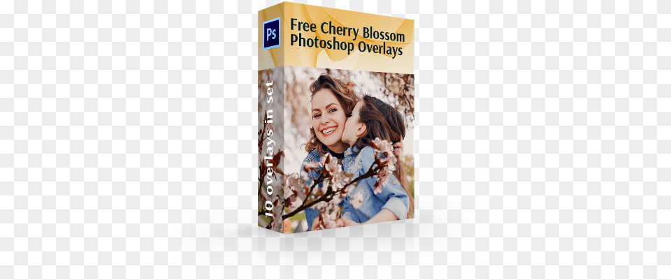 Cherry Blossom Overlays Book Cover, Person, Face, Portrait, Flower Png