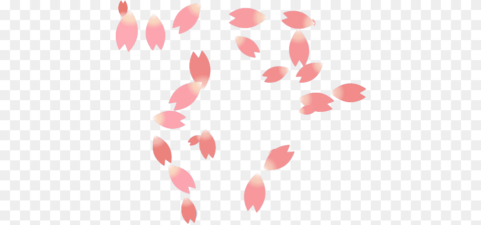 Cherry Blossom Petal, Flower, Plant, Person, Face Png Image
