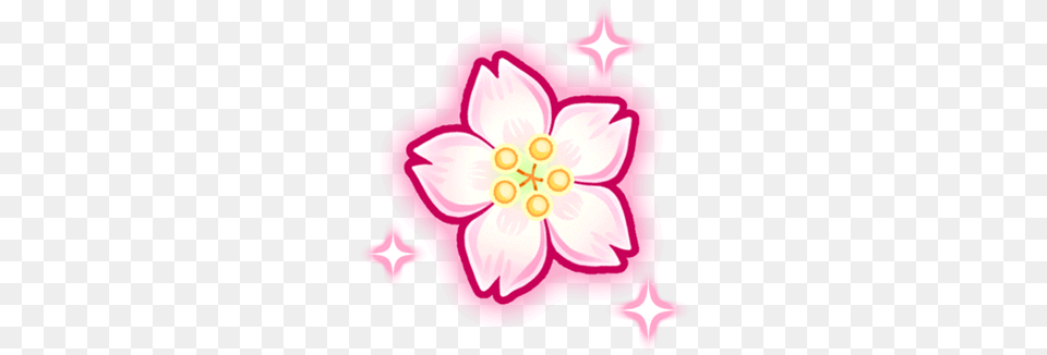 Cherry Blossom Petal Glorious Blossoms Unison League Ouka, Flower, Plant, Baby, Dahlia Png