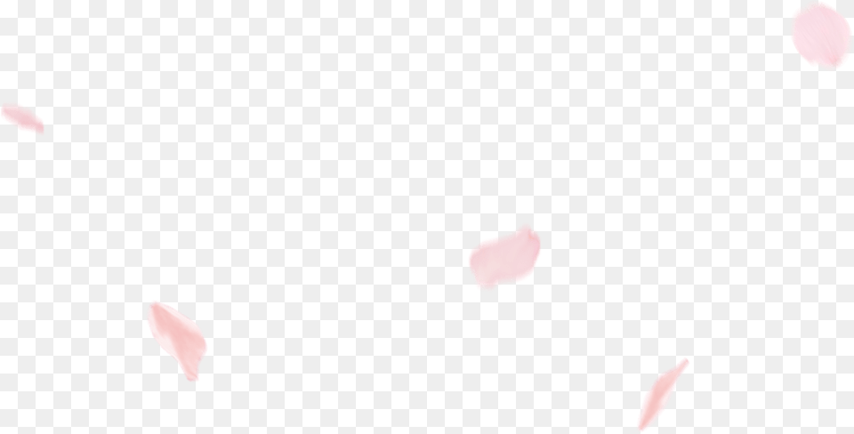 Cherry Blossom Petal Heart, Flower, Plant Png