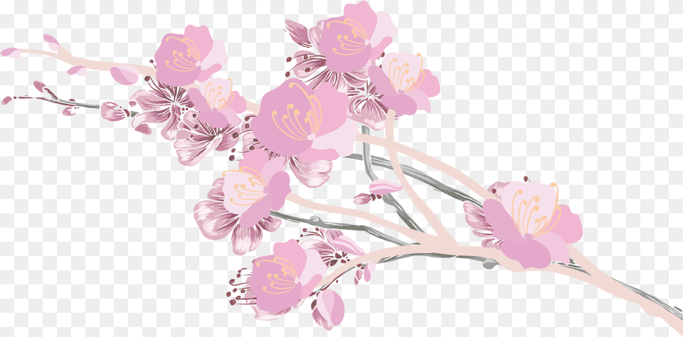 Cherry Blossom Petals Cherry Blossom Clipart File Cherry Blossom Clipart, Flower, Plant, Cherry Blossom Png Image
