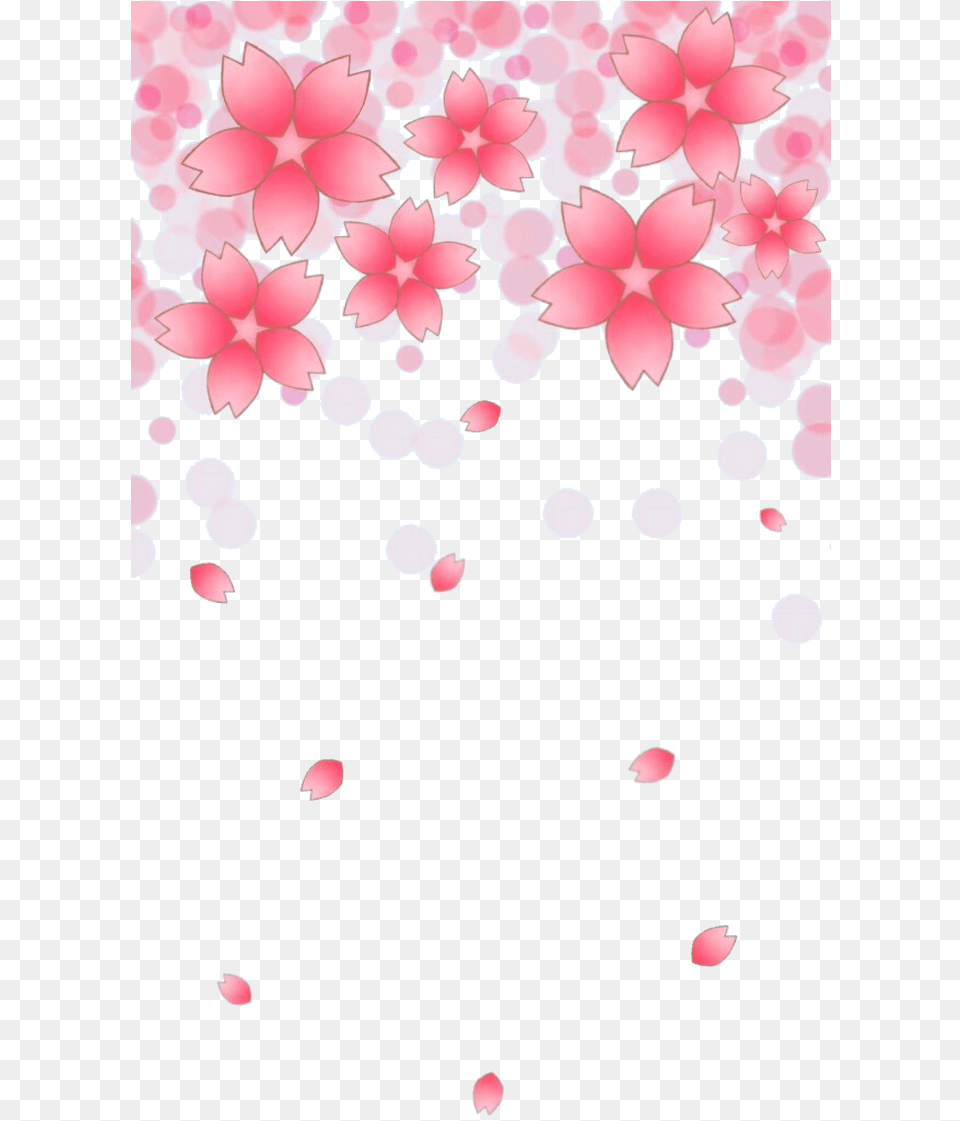 Cherry Blossom Petals Falling Transparent Cherry Blossoms Gif, Flower, Petal, Plant Png