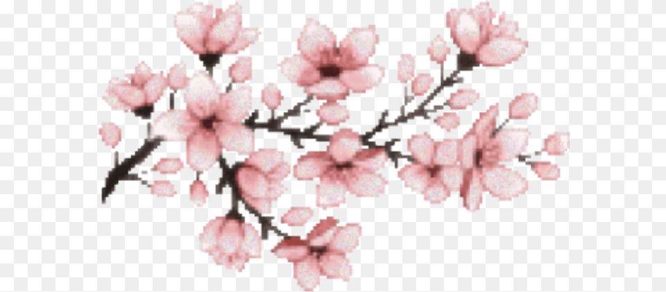 Cherry Blossom Pixel Art, Cherry Blossom, Flower, Plant, Person Png Image