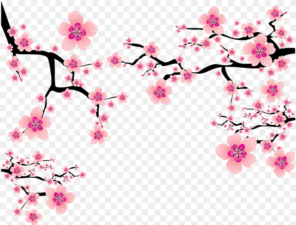 Cherry Blossom Plum Clip Art Cherry Blossom, Flower, Plant, Cherry Blossom Png Image