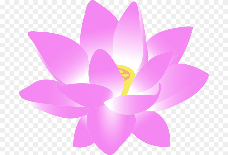Cherry Blossom Sakura Clipart Clip Art, Flower, Plant, Lily, Pond Lily Free Transparent Png