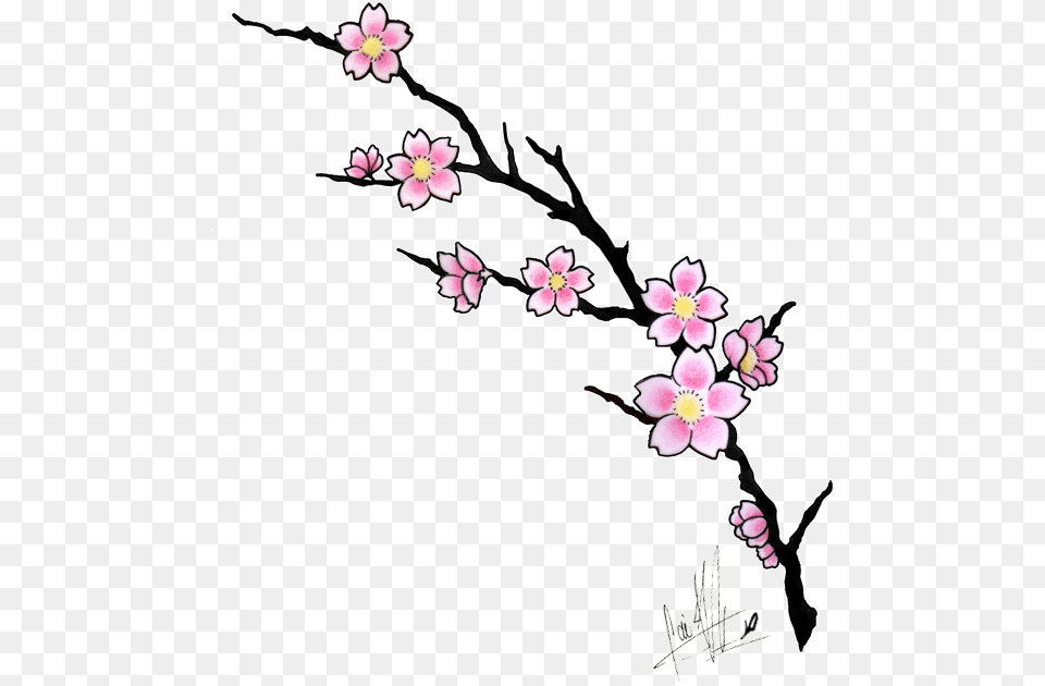Cherry Blossom Tattoo Design, Flower, Plant, Cherry Blossom, Art Free Png