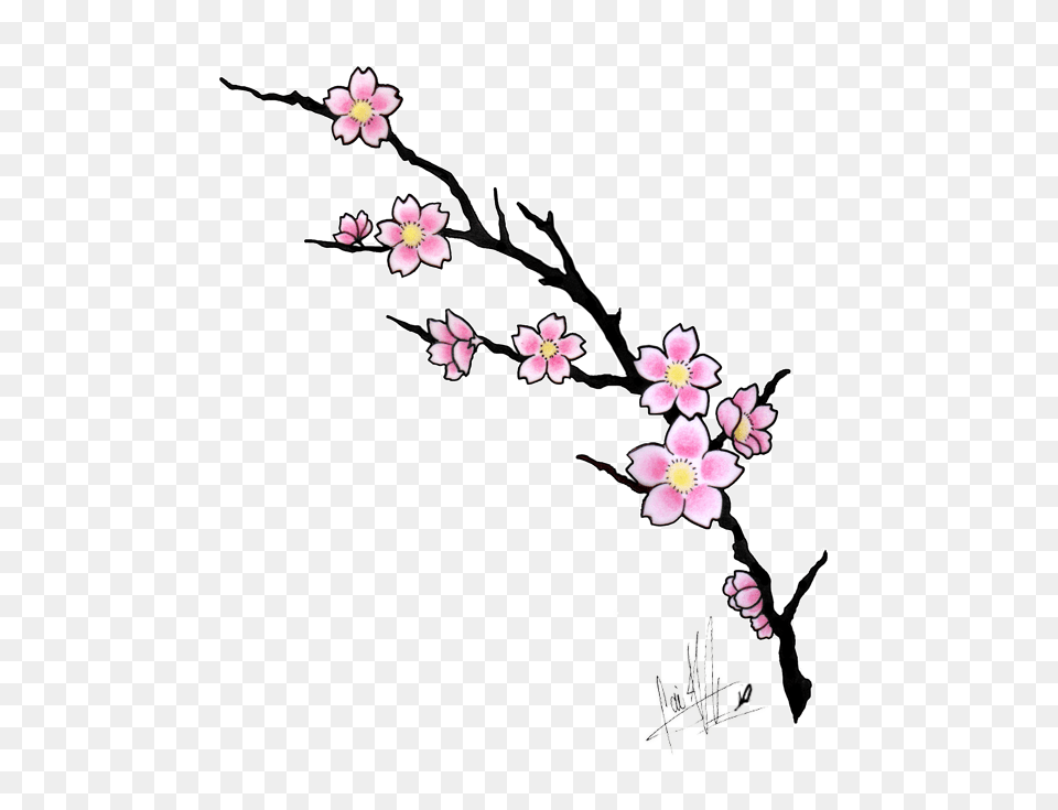 Cherry Blossom Tattoos Cherry Blossom Tattoo Design, Flower, Plant, Cherry Blossom Png