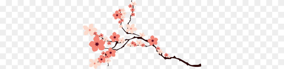 Cherry Blossom Image And Clipart, Flower, Plant, Cherry Blossom, Person Free Transparent Png