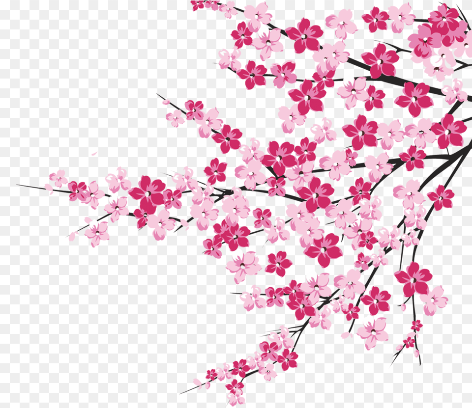 Cherry Blossom Tree Branch Cliparts Cherry Blossom Tree Clipart, Flower, Petal, Plant, Cherry Blossom Free Png Download