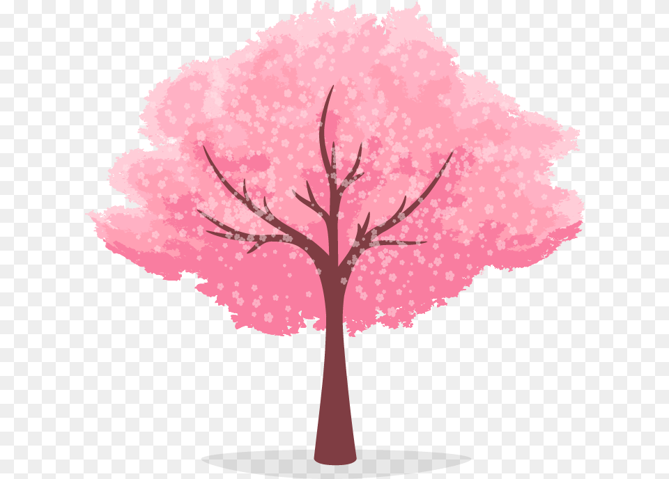 Cherry Blossom Tree Cartoon Clipart Animated Cherry Blossom Tree, Flower, Plant, Cherry Blossom, Art Png