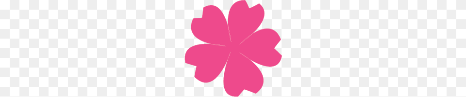 Cherry Blossom Tree Designs, Flower, Petal, Plant, Daisy Free Png
