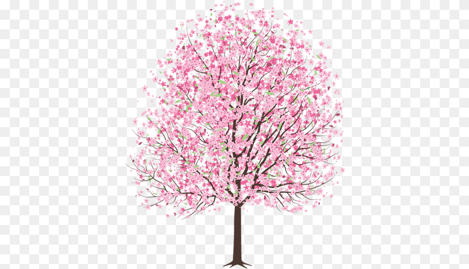 Cherry Blossom Tree Hd Cherry Blossom Tree Drawing, Flower, Plant, Cherry Blossom Free Png Download