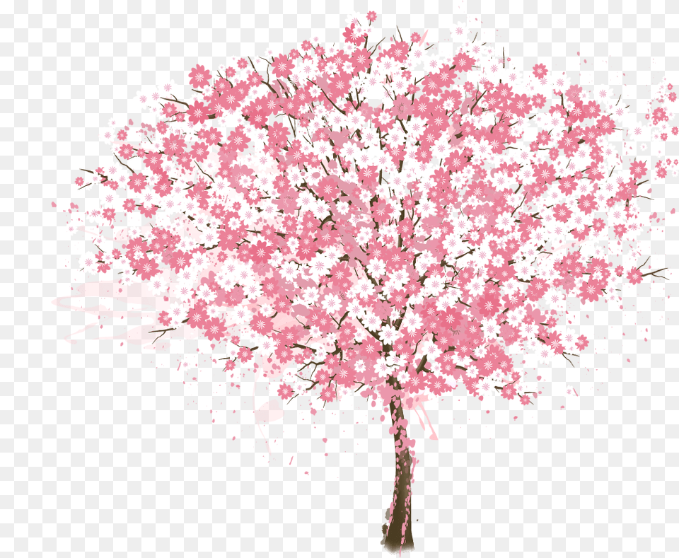 Cherry Blossom Tree Resume Vector Cherry Blossom Tree, Flower, Plant, Cherry Blossom Free Png Download