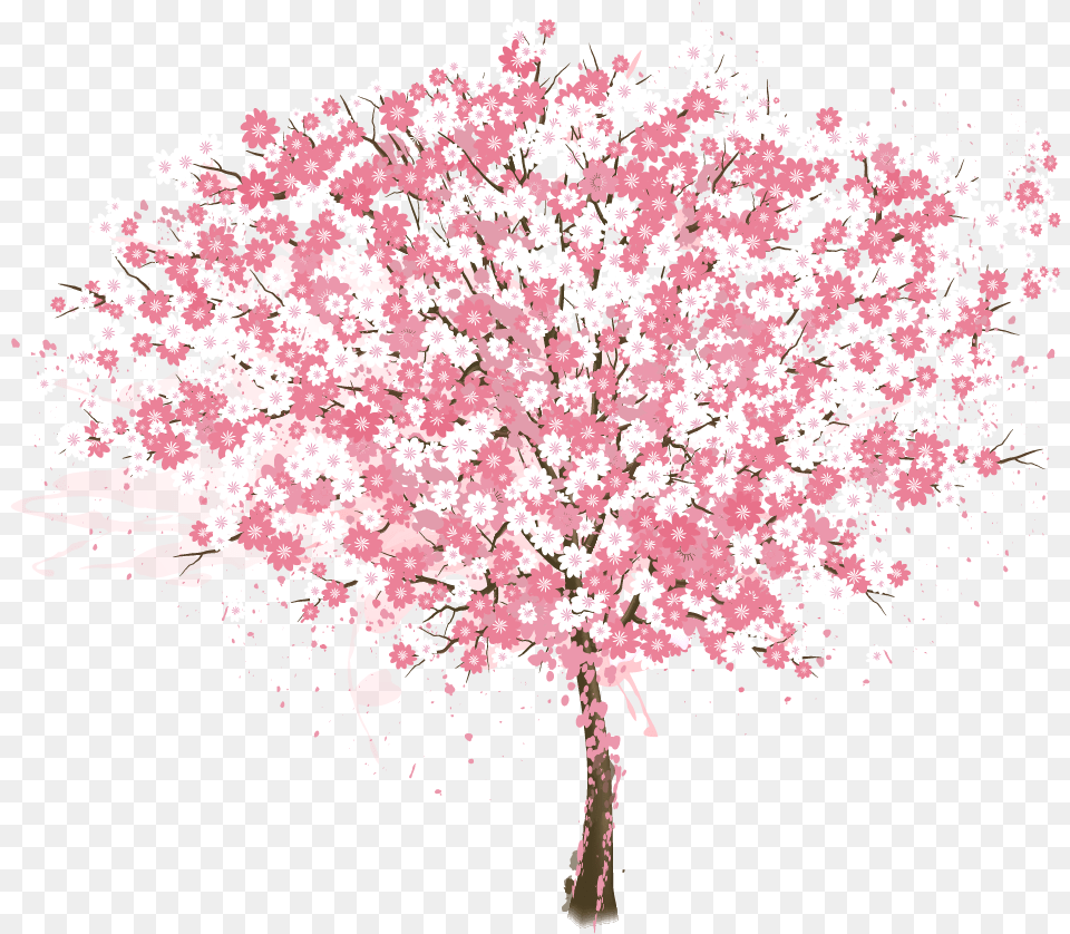 Cherry Blossom Tree Resume Vector Painted Pink Cherry Blossom Tree Vector, Flower, Plant, Cherry Blossom Free Png Download