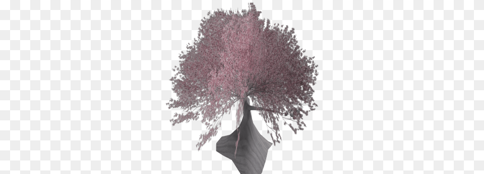 Cherry Blossom Tree Roblox Tree, Flower, Plant, Cherry Blossom, Astronomy Free Png Download