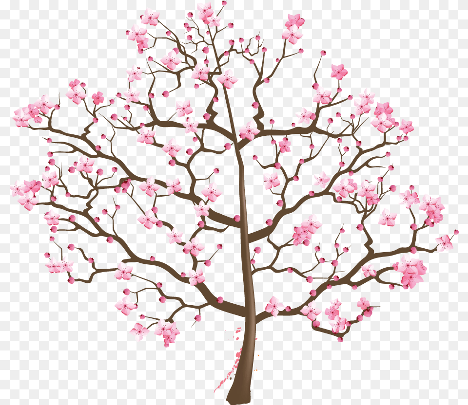 Cherry Blossom Tree Suzuki Cherry Blossom Tree Images Download Cherry Blossom Tree, Flower, Plant, Cherry Blossom Png Image