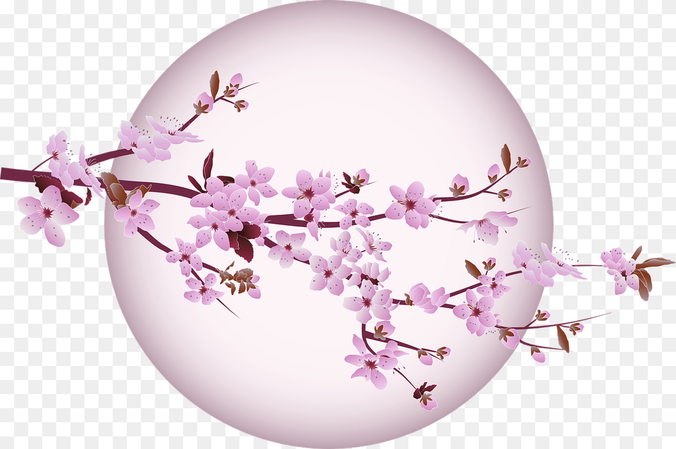 Cherry Blossom Tree Vector Graphic On Pixabay Still Life Photography, Flower, Plant, Cherry Blossom Png