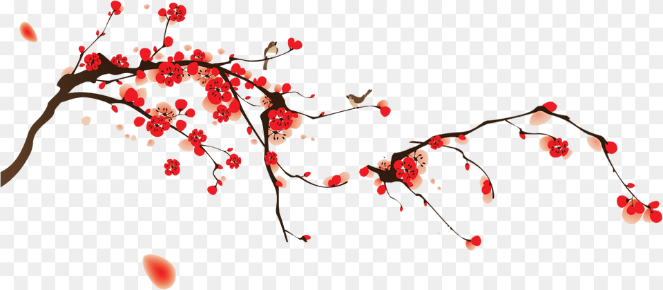 Cherry Blossom Vector Download Drawn Cherry Blossom Branch, Flower, Petal, Plant, Food Png Image