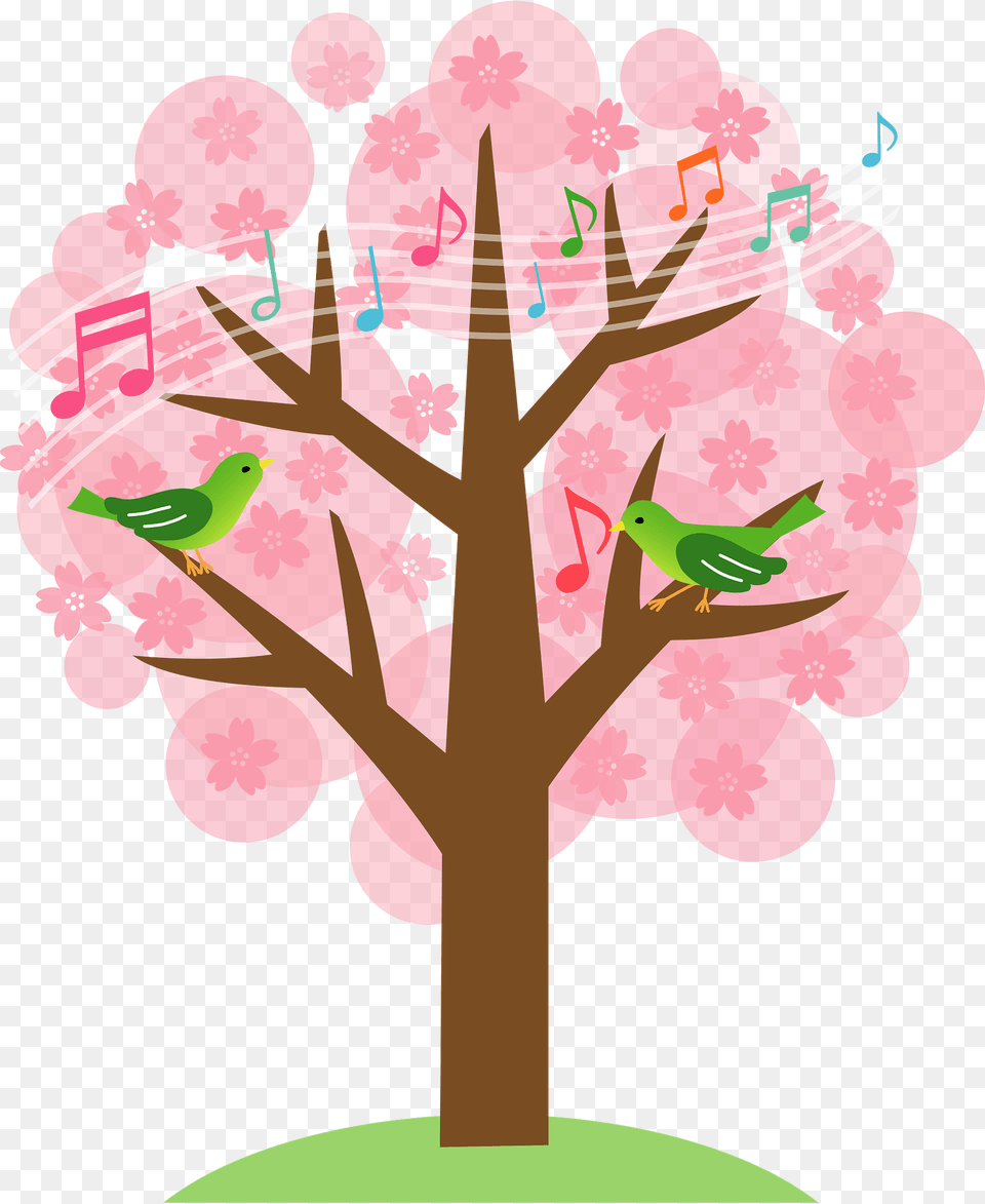 Cherry Blossoms And Japanese Bush Warbler Clipart, Animal, Bird, Parrot, Parakeet Free Png