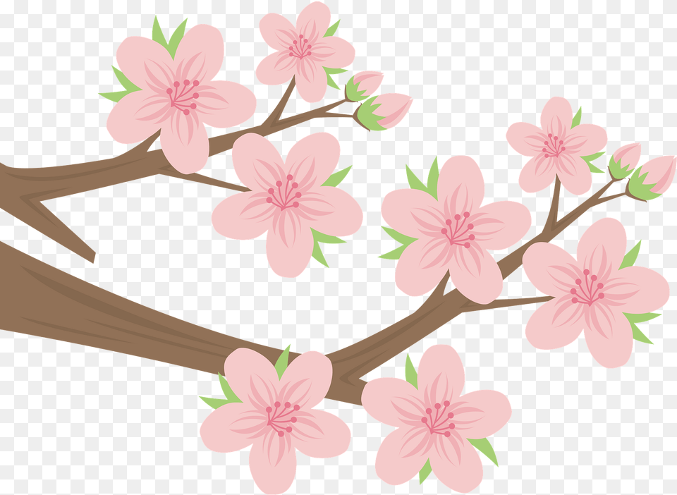 Cherry Blossoms Branch Clipart, Flower, Plant, Cherry Blossom, Dynamite Free Png Download