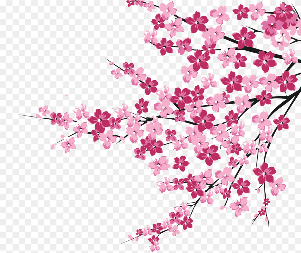 Cherry Blossoms Cherry Blossom Tree Clipart, Flower, Plant, Cherry Blossom, Petal Free Png Download