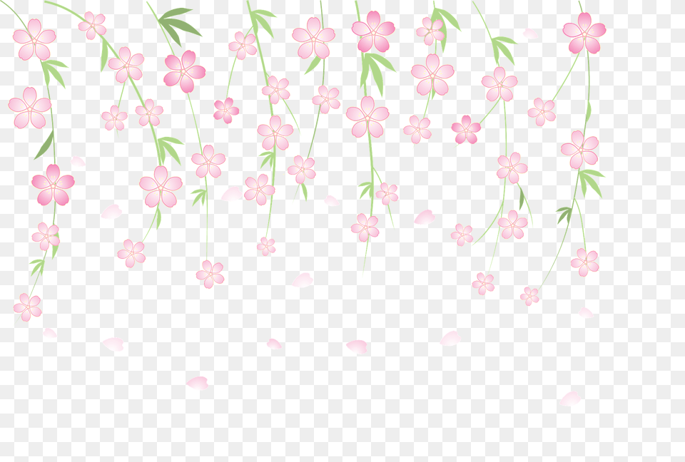 Cherry Blossoms Clipart, Art, Floral Design, Graphics, Pattern Free Png Download