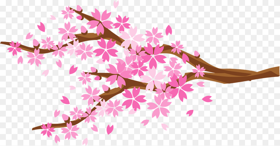 Cherry Blossoms Clipart, Plant, Flower, Art, Floral Design Free Transparent Png