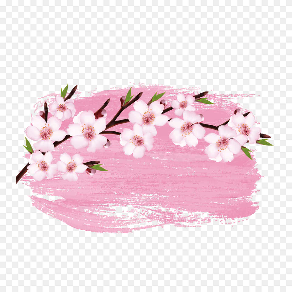 Cherry Blossoms Flower Watercolor Cherry Blossom, Plant, Cherry Blossom Png Image