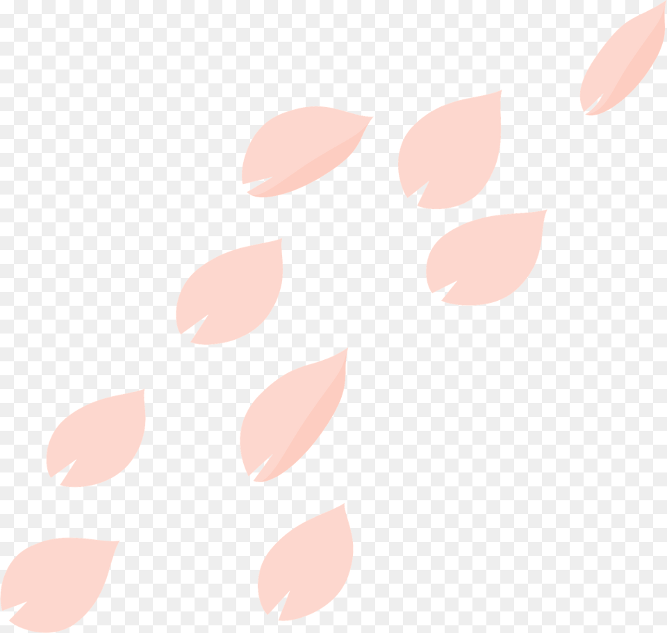 Cherry Blossoms Petal Clipart, Flower, Plant, Cutlery, Astronomy Free Png
