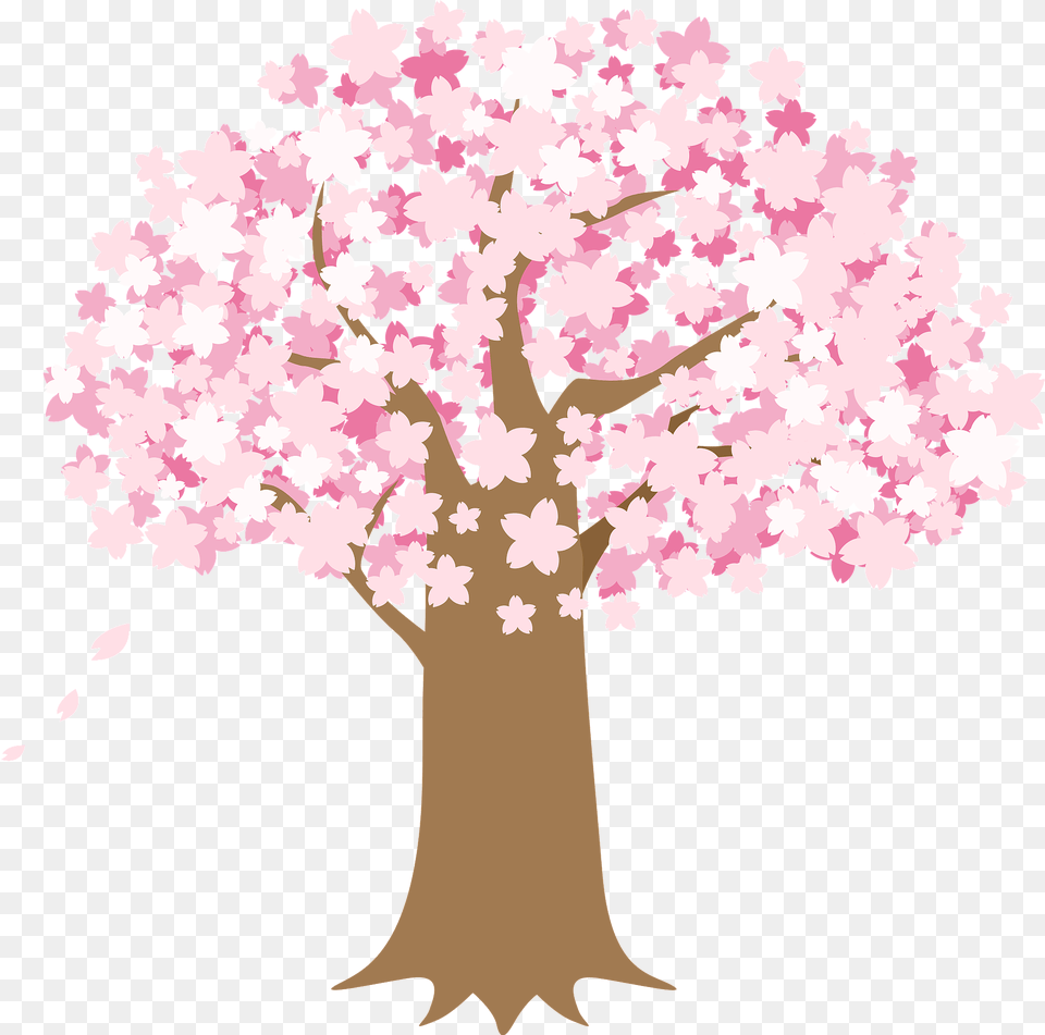 Cherry Blossoms Tree Clipart Download Watching Cherry Blossoms Clipart Black And White, Flower, Plant, Cherry Blossom Free Transparent Png