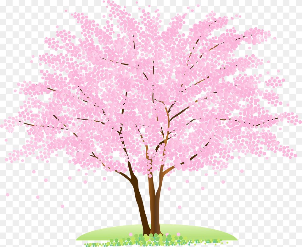 Cherry Blossoms Tree Clipart Free Download Creazilla Transparent Cherry Blossom Tree Graphic, Flower, Plant, Cherry Blossom Png