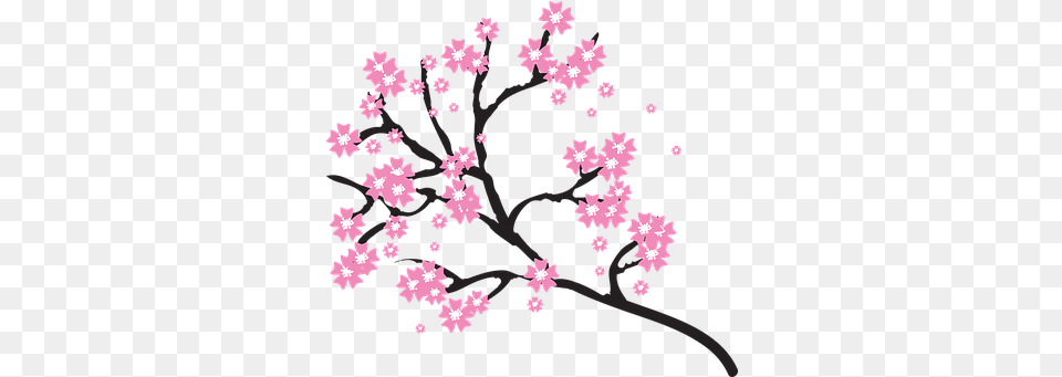 Cherry Blossoms Tree Vectors Cherry Blossoms Clip Art, Flower, Plant, Cherry Blossom, Person Png