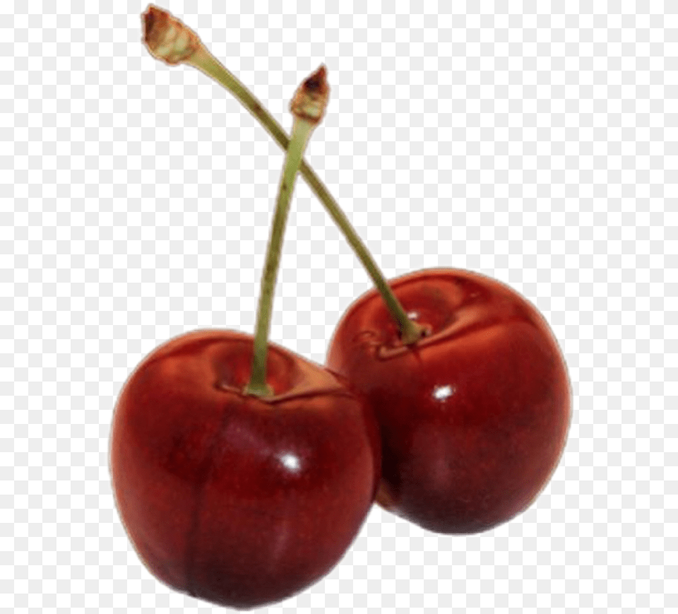 Cherry Cherrys Red Redaesthetic Sticker Freetoedit Aesthetic Fillers, Food, Fruit, Plant, Produce Free Transparent Png