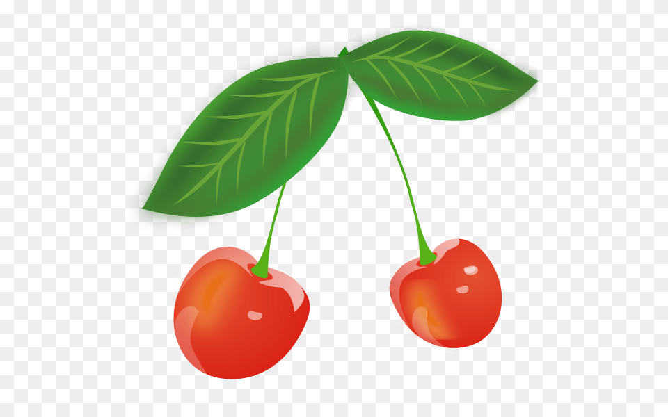 Cherry Clip Arts For Web, Food, Fruit, Plant, Produce Png Image
