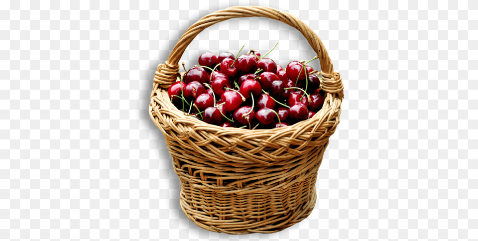 Cherry Clipart Basket Kosr Meggy, Food, Fruit, Plant, Produce Png