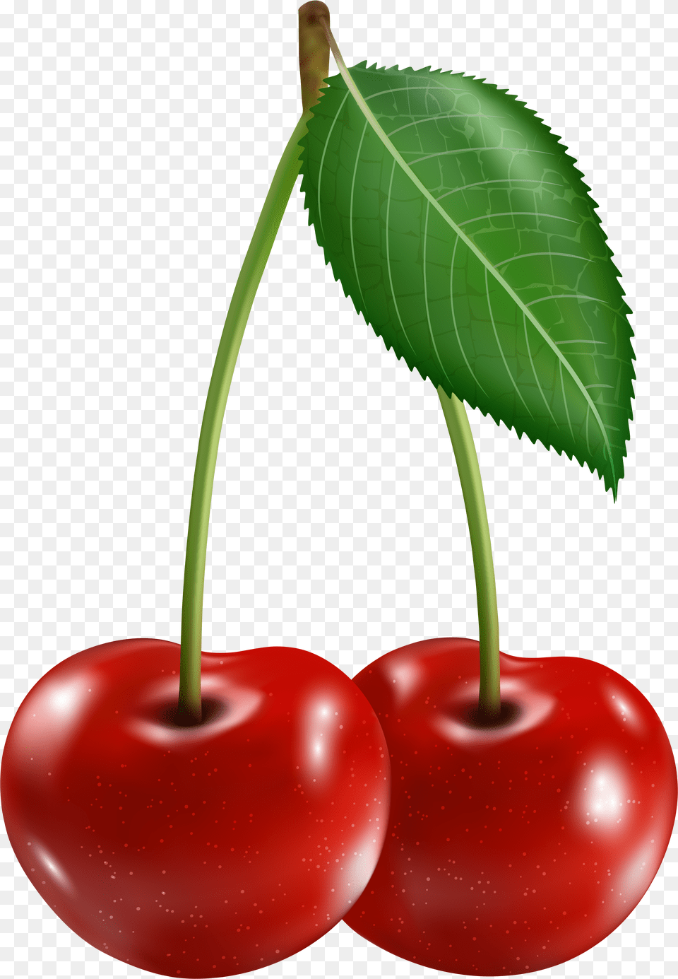 Cherry Clipart Clipart Cherries Free Png