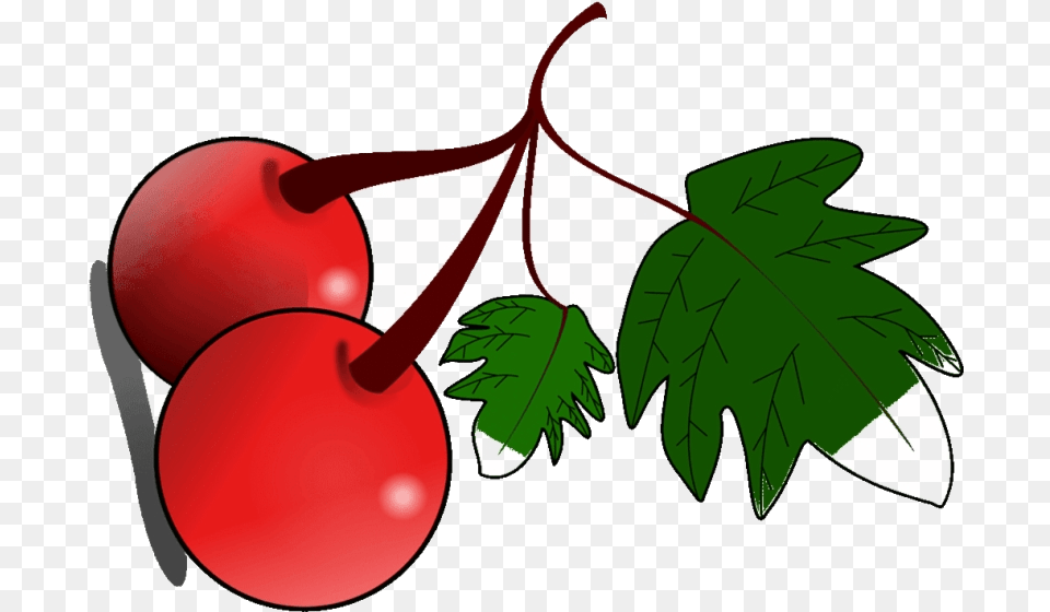 Cherry Clipart Free Fruit Clip Art Transparent Fruit Clip Art, Food, Plant, Produce Png