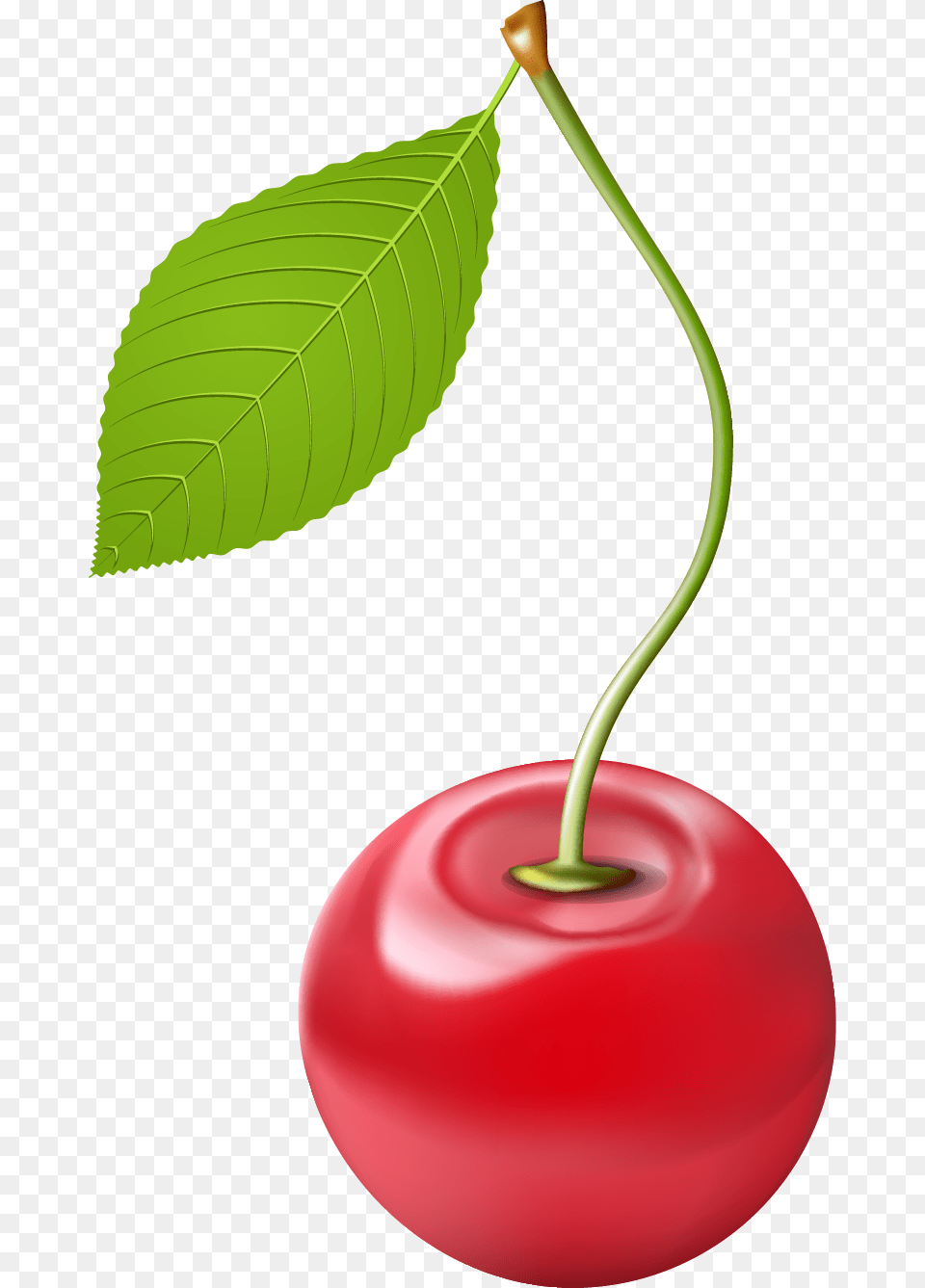 Cherry Clipart Cherry, Food, Fruit, Plant, Produce Png Image