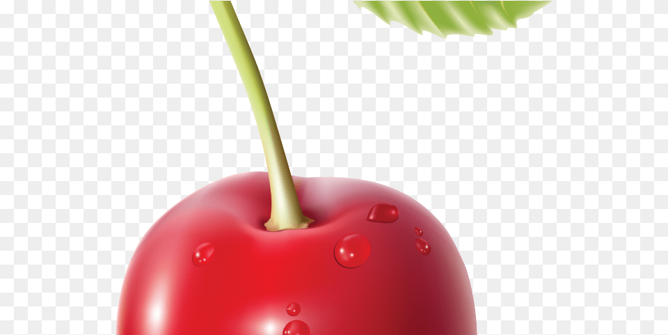 Cherry Clipart Transparent Background Single Fruit Food Item, Plant, Produce Png Image