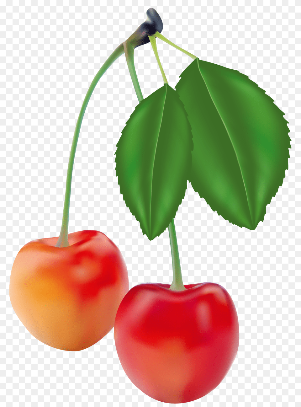 Cherry Clipart Wedding Cherries Clip Art Inside, Food, Fruit, Plant, Produce Png Image